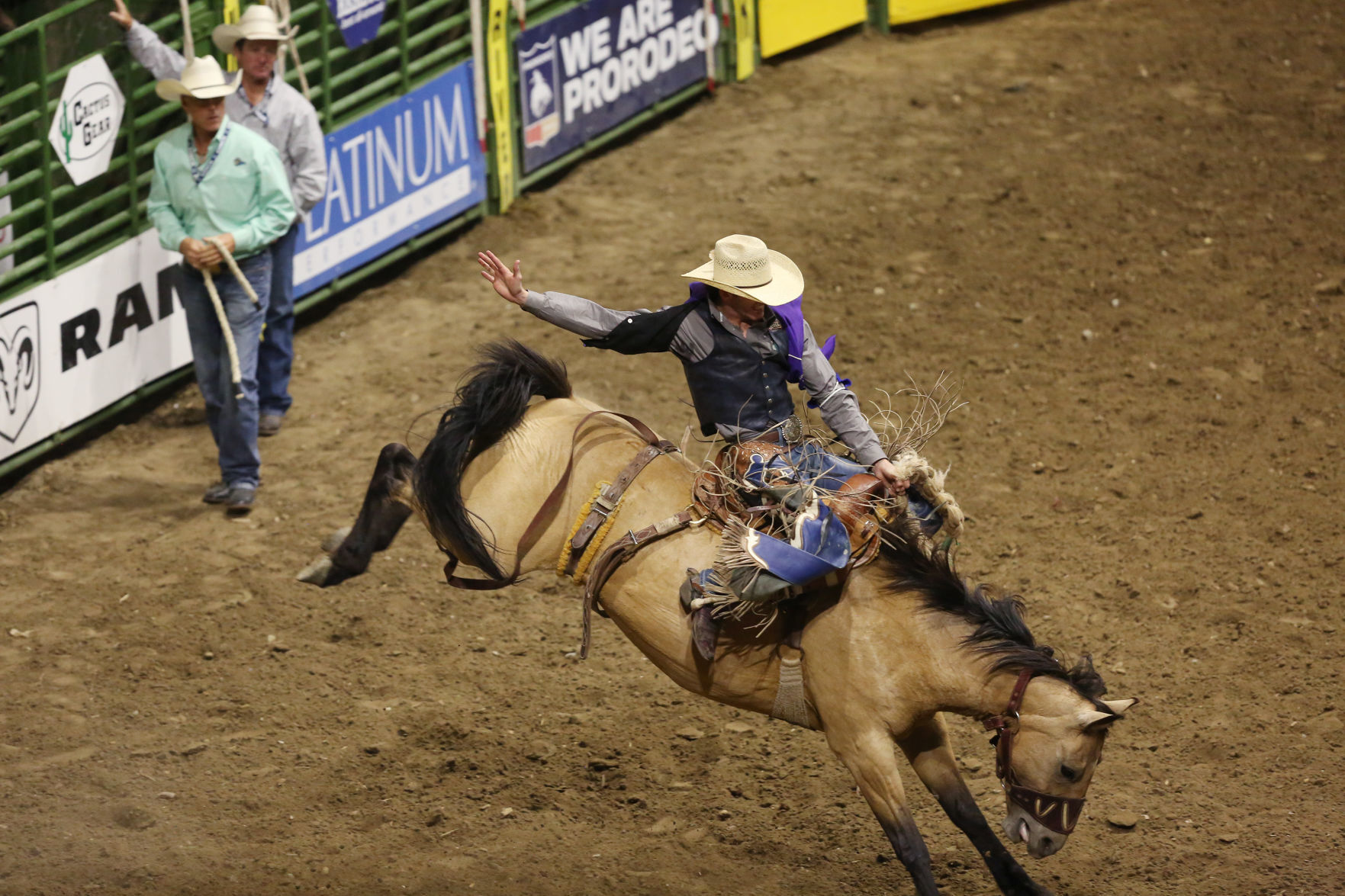 CNFR